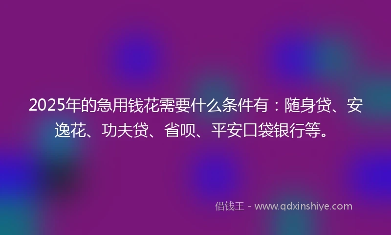 2025年的急用钱花需要什么条件有：随身贷、安逸花、功夫贷、省呗、平安口袋银行等。