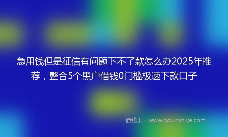 急用钱但是征信有问题下不了款怎么办2025年推荐，整合5个黑户借钱0门槛极速下款口子