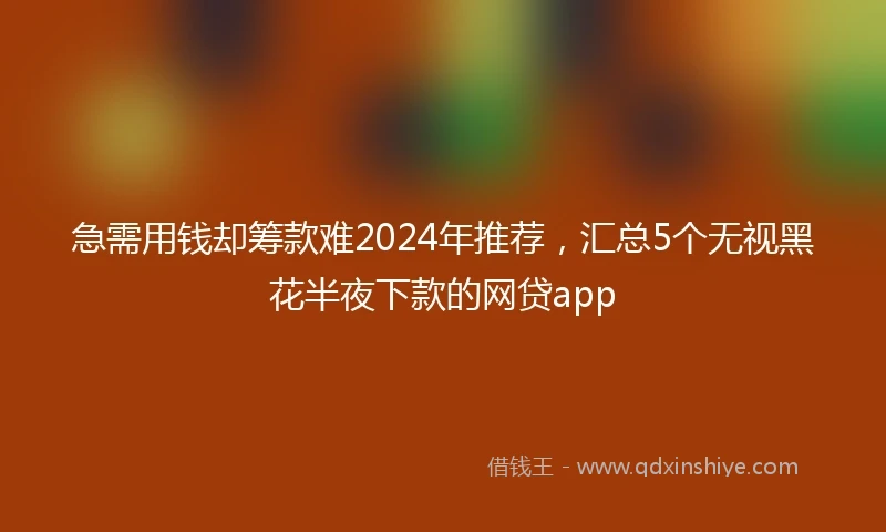 急需用钱却筹款难2024年推荐，汇总5个无视黑花半夜下款的网贷app