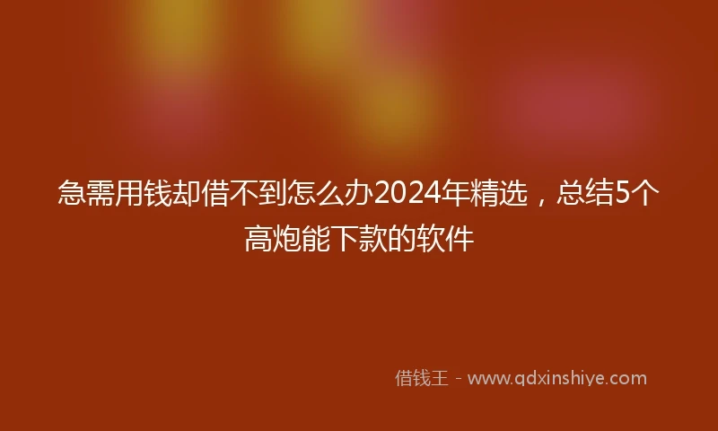 急需用钱却借不到怎么办2024年精选，总结5个高炮能下款的软件