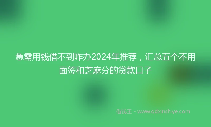 急需用钱借不到咋办2024年推荐，汇总五个不用面签和芝麻分的贷款口子