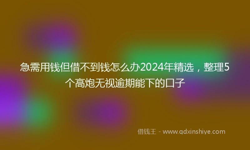 急需用钱但借不到钱怎么办2024年精选，整理5个高炮无视逾期能下的口子