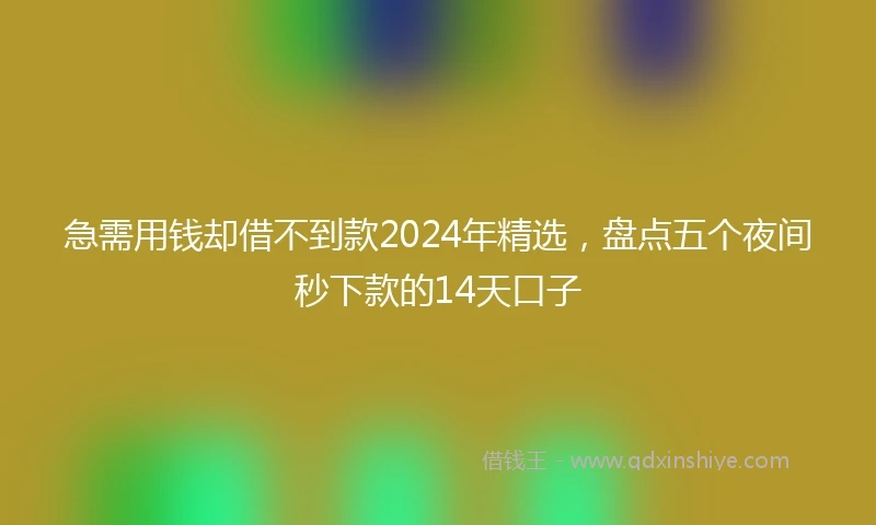 急需用钱却借不到款2024年精选，盘点五个夜间秒下款的14天口子