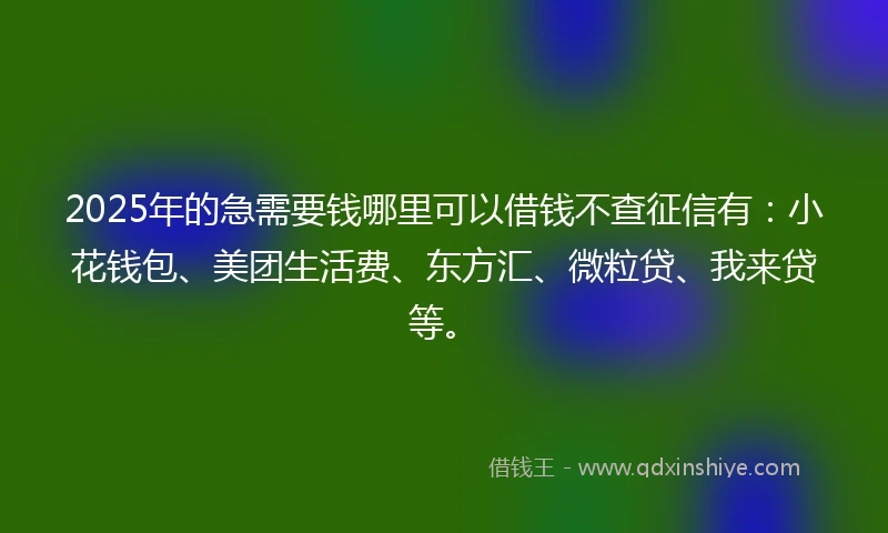 2025年的急需要钱哪里可以借钱不查征信有：小花钱包、美团生活费、东方汇、微粒贷、我来贷等。