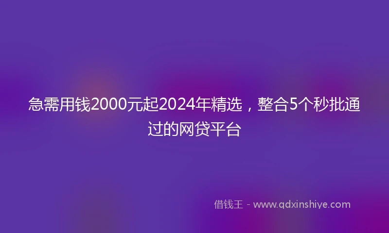 急需用钱2000元起2024年精选，整合5个秒批通过的网贷平台