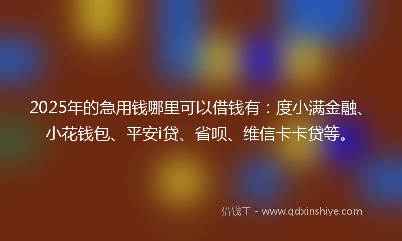 2025年的急用钱哪里可以借钱有：度小满金融、小花钱包、平安i贷、省呗、维信卡卡贷等。
