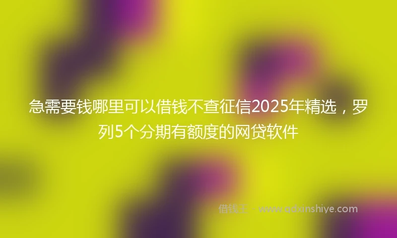 急需要钱哪里可以借钱不查征信2025年精选，罗列5个分期有额度的网贷软件