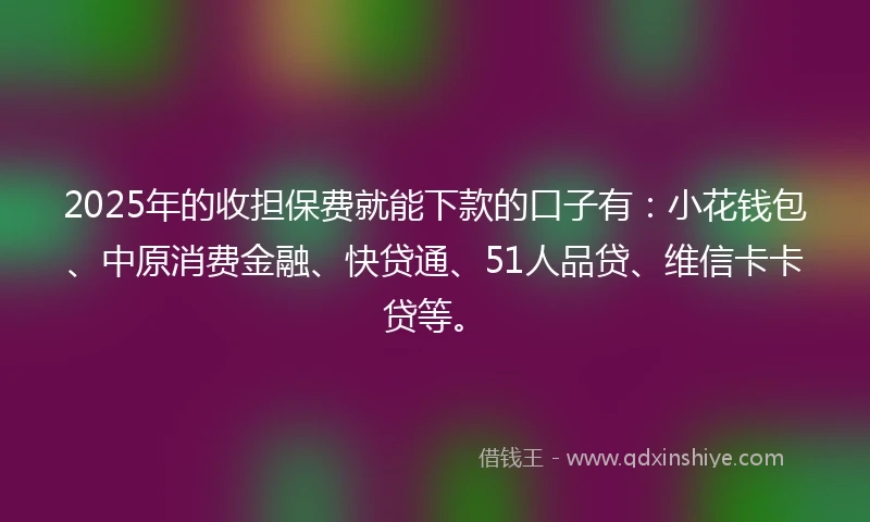 2025年的收担保费就能下款的口子有：小花钱包、中原消费金融、快贷通、51人品贷、维信卡卡贷等。