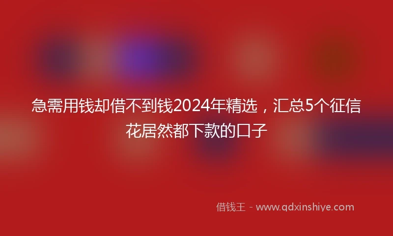 急需用钱却借不到钱2024年精选，汇总5个征信花居然都下款的口子