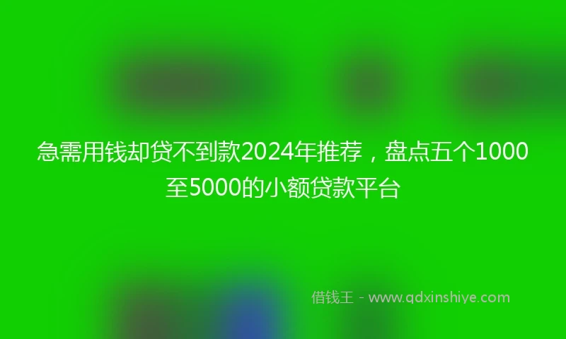 急需用钱却贷不到款2024年推荐，盘点五个1000至5000的小额贷款平台