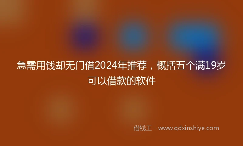急需用钱却无门借2024年推荐，概括五个满19岁可以借款的软件