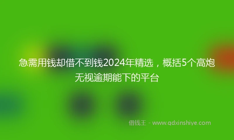 急需用钱却借不到钱2024年精选，概括5个高炮无视逾期能下的平台