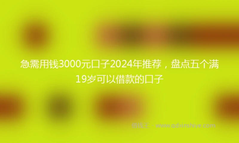急需用钱3000元口子2024年推荐，盘点五个满19岁可以借款的口子