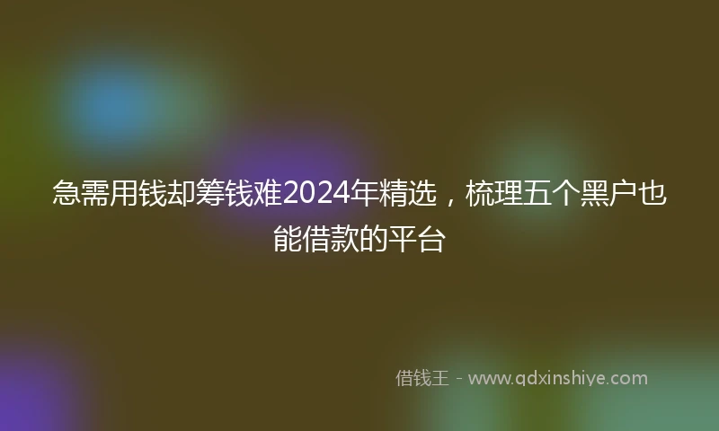 急需用钱却筹钱难2024年精选，梳理五个黑户也能借款的平台