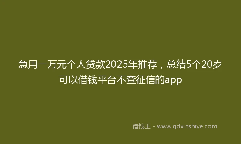 急用一万元个人贷款2025年推荐，总结5个20岁可以借钱平台不查征信的app
