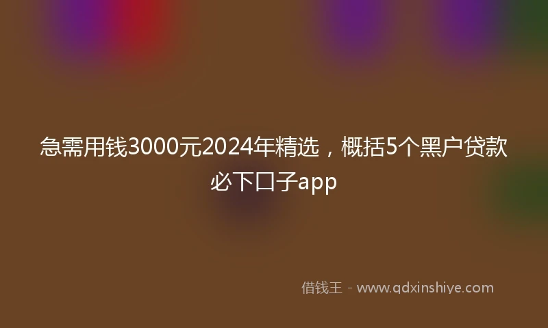 急需用钱3000元2024年精选，概括5个黑户贷款必下口子app