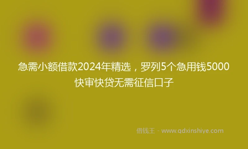 急需小额借款2024年精选，罗列5个急用钱5000快审快贷无需征信口子