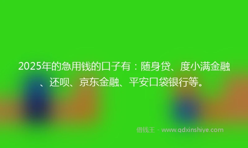 2025年的急用钱的口子有：随身贷、度小满金融、还呗、京东金融、平安口袋银行等。