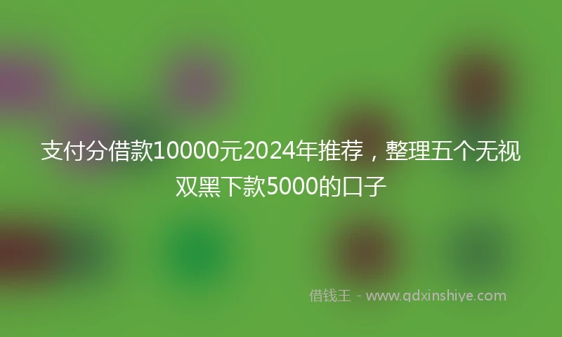 支付分借款10000元2024年推荐，整理五个无视双黑下款5000的口子