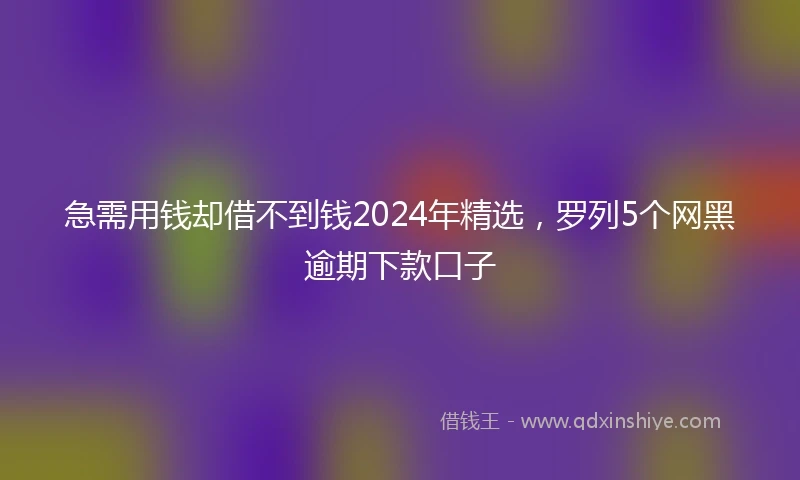 急需用钱却借不到钱2024年精选，罗列5个网黑逾期下款口子