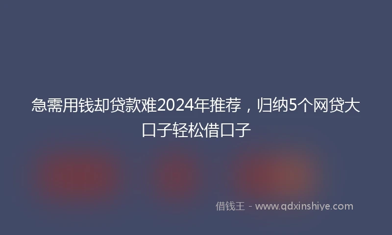 急需用钱却贷款难2024年推荐，归纳5个网贷大口子轻松借口子