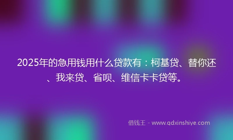 2025年的急用钱用什么贷款有：柯基贷、替你还、我来贷、省呗、维信卡卡贷等。