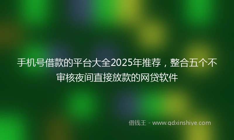 手机号借款的平台大全2025年推荐，整合五个不审核夜间直接放款的网贷软件