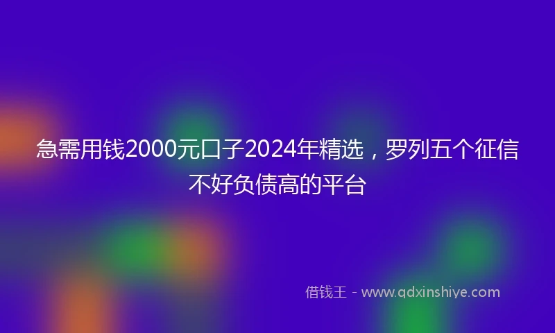 急需用钱2000元口子2024年精选，罗列五个征信不好负债高的平台