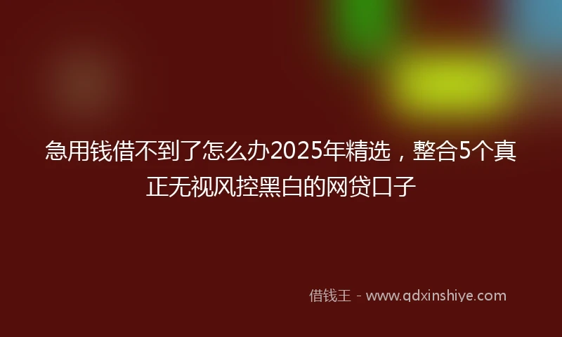 急用钱借不到了怎么办2025年精选，整合5个真正无视风控黑白的网贷口子