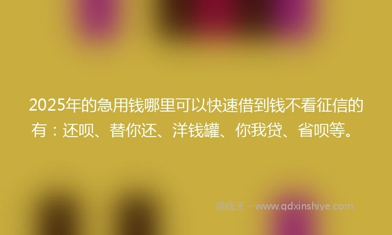 2025年的急用钱哪里可以快速借到钱不看征信的有：还呗、替你还、洋钱罐、你我贷、省呗等。
