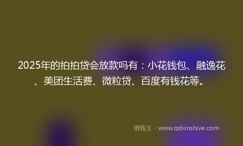 2025年的拍拍贷会放款吗有：小花钱包、融逸花、美团生活费、微粒贷、百度有钱花等。