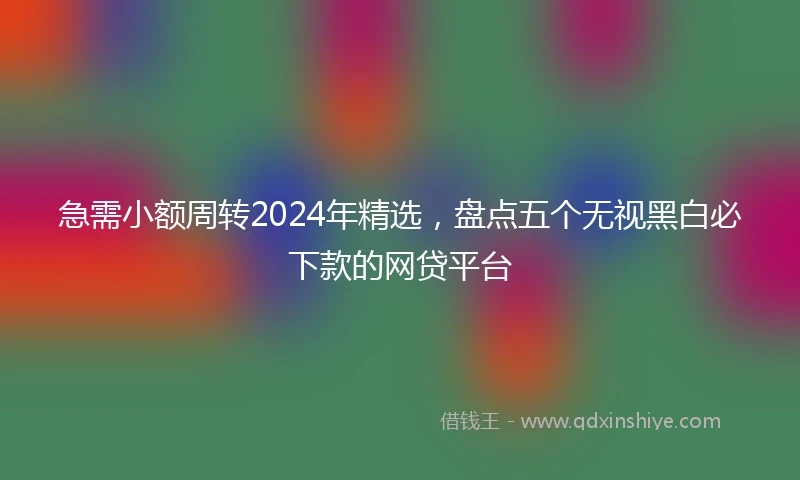 急需小额周转2024年精选，盘点五个无视黑白必下款的网贷平台
