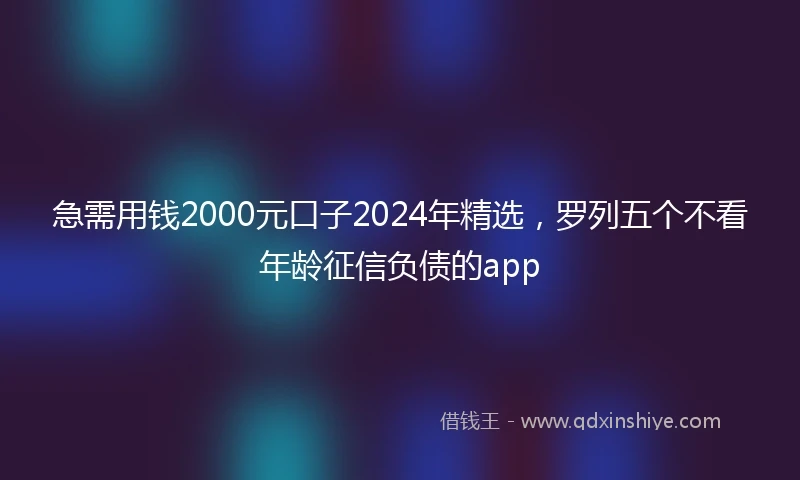 急需用钱2000元口子2024年精选，罗列五个不看年龄征信负债的app