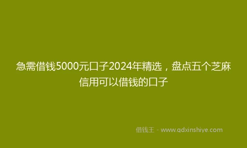 急需借钱5000元口子2024年精选，盘点五个芝麻信用可以借钱的口子