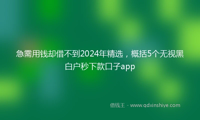 急需用钱却借不到2024年精选，概括5个无视黑白户秒下款口子app