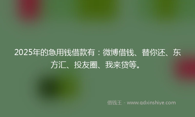 2025年的急用钱借款有：微博借钱、替你还、东方汇、投友圈、我来贷等。