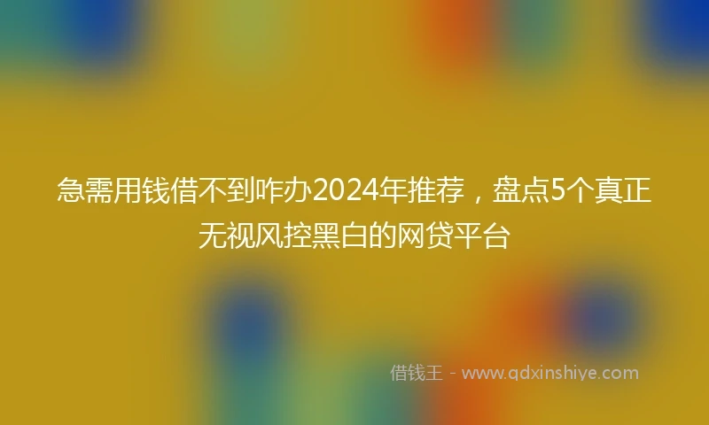 急需用钱借不到咋办2024年推荐，盘点5个真正无视风控黑白的网贷平台