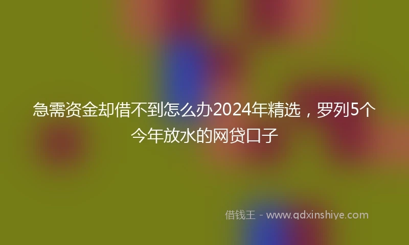 急需资金却借不到怎么办2024年精选，罗列5个今年放水的网贷口子