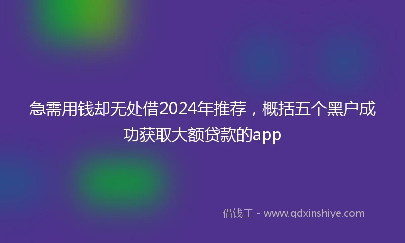 急需用钱却无处借2024年推荐，概括五个黑户成功获取大额贷款的app