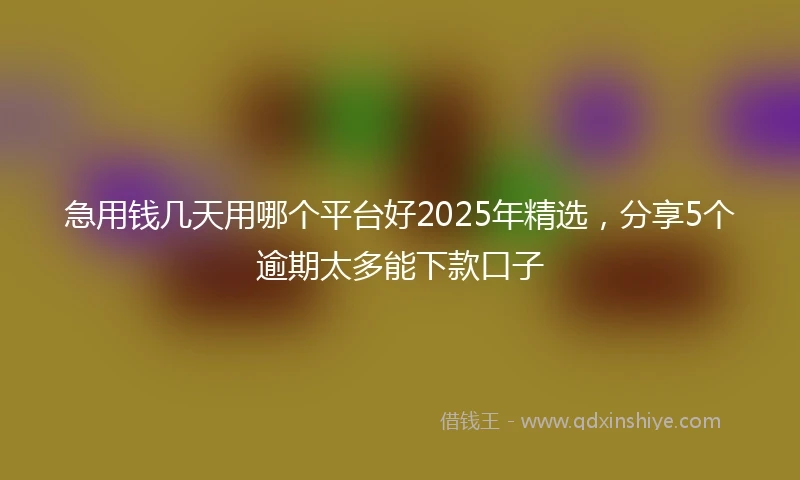 急用钱几天用哪个平台好2025年精选，分享5个逾期太多能下款口子