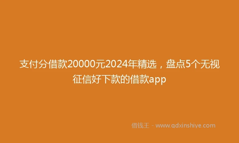 支付分借款20000元2024年精选，盘点5个无视征信好下款的借款app