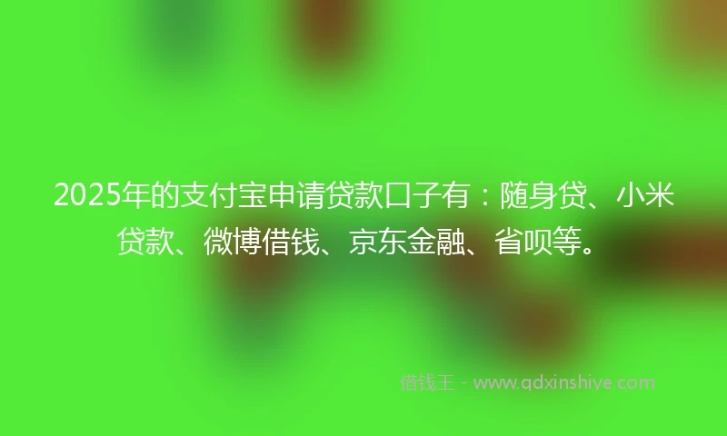 2025年的支付宝申请贷款口子有：随身贷、小米贷款、微博借钱、京东金融、省呗等。