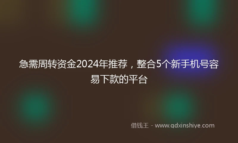 急需周转资金2024年推荐，整合5个新手机号容易下款的平台