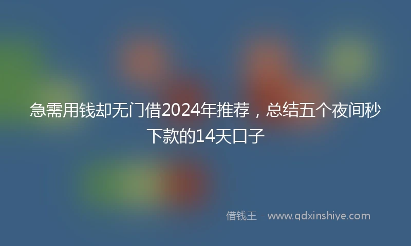 急需用钱却无门借2024年推荐，总结五个夜间秒下款的14天口子