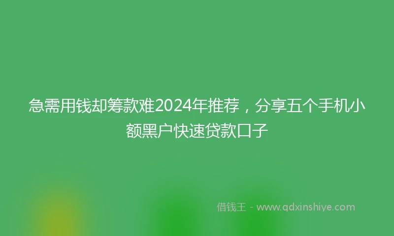 急需用钱却筹款难2024年推荐，分享五个手机小额黑户快速贷款口子