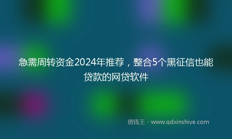 急需周转资金2024年推荐，整合5个黑征信也能贷款的网贷软件