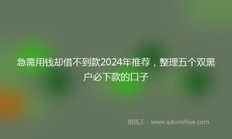 急需用钱却借不到款2024年推荐，整理五个双黑户必下款的口子