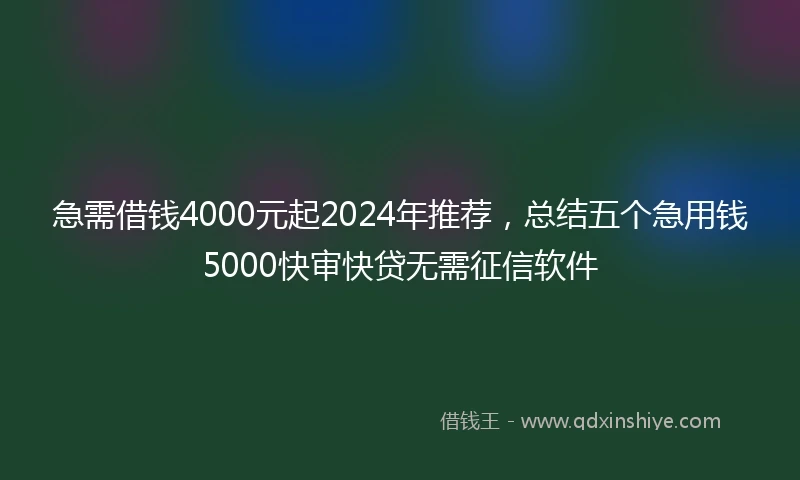 急需借钱4000元起2024年推荐，总结五个急用钱5000快审快贷无需征信软件