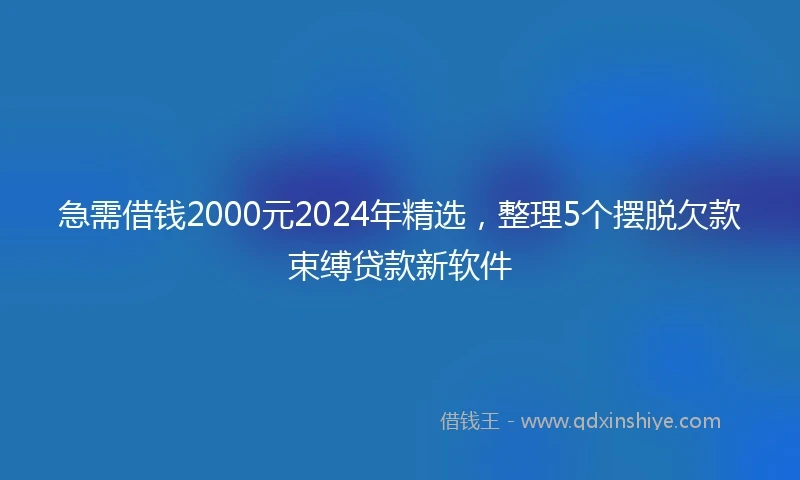 急需借钱2000元2024年精选，整理5个摆脱欠款束缚贷款新软件