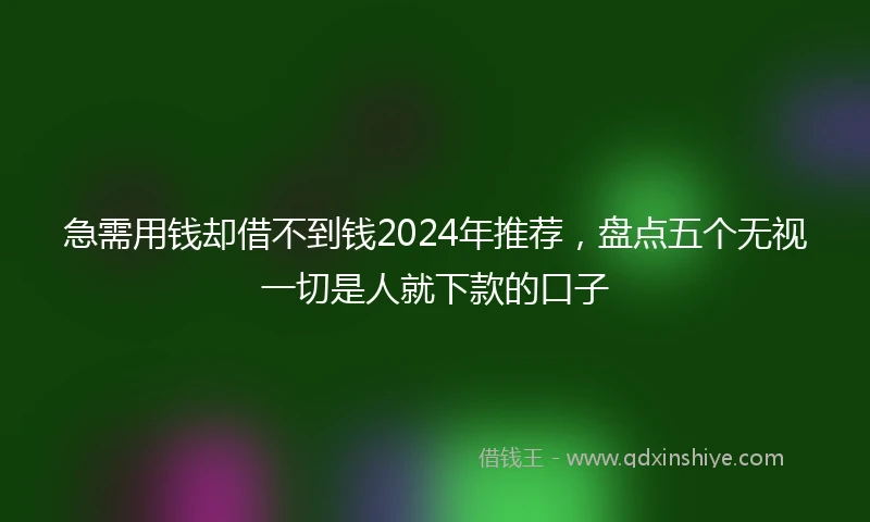 急需用钱却借不到钱2024年推荐，盘点五个无视一切是人就下款的口子